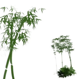 竹子水墨画中国风国画墨水书法竹子画