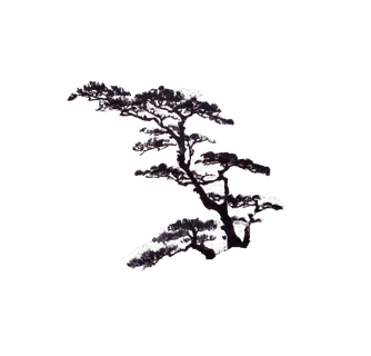 树木树枝树叶免扣素材