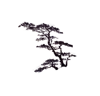 树木树枝树叶免扣素材