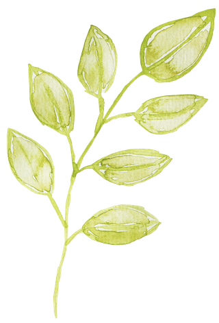 唯美森系手绘水彩花朵 免抠