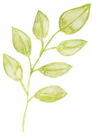 唯美森系手绘水彩花朵 免抠