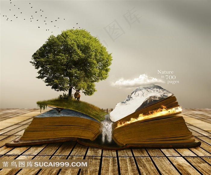 创意书本上的大自然风景