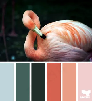 动物配色色卡色彩搭配