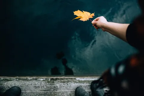 手拿枫叶非主流意境图片 手拿枫叶非主流意境图片