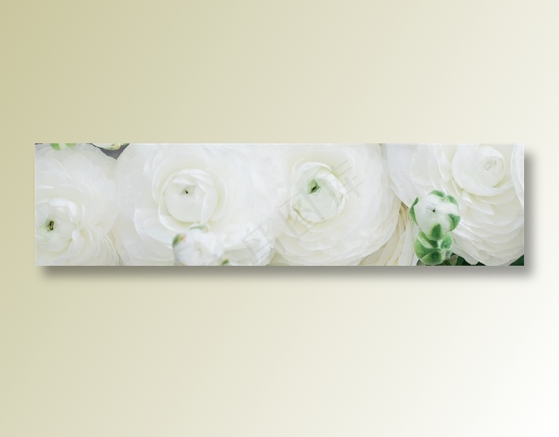 横屏宽幅banner底图素材高清摄影图片