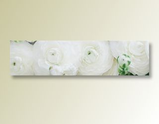 横屏宽幅banner底图素材高清摄影图片