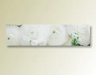 横屏宽幅banner底图素材高清摄影图片