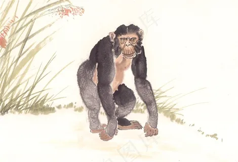 野生动物绘画美图素材 野生动物绘画美图素材