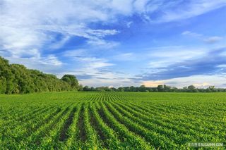 广阔的农田风景