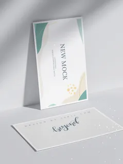 高端大气商务名片样机