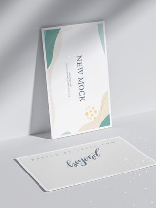 高端大气商务名片样机