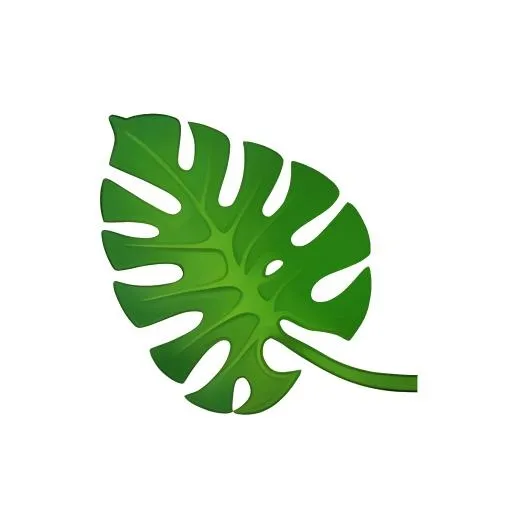 叶子龟背竹免抠(2048x2048)