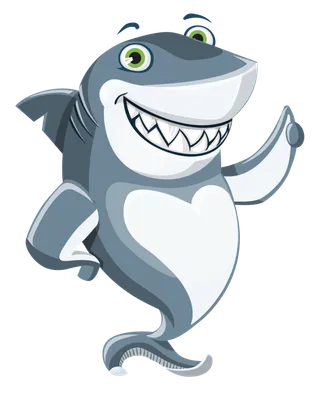 鲨鱼灰色卡通