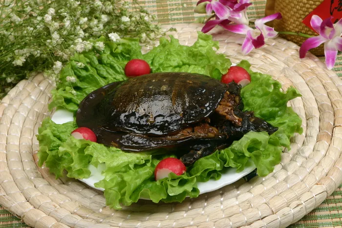 湘卤中华鳖