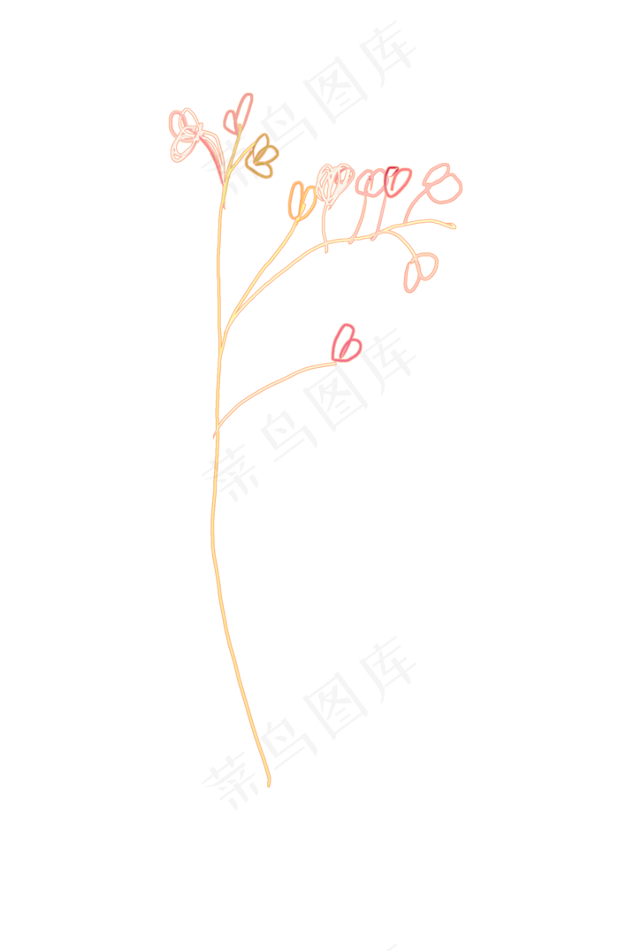 干花免抠素材