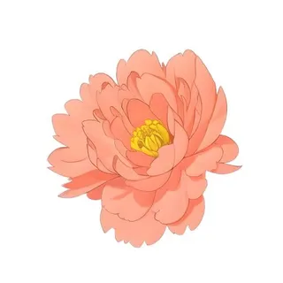 花牡丹花免抠