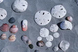 清晰大图海边图片