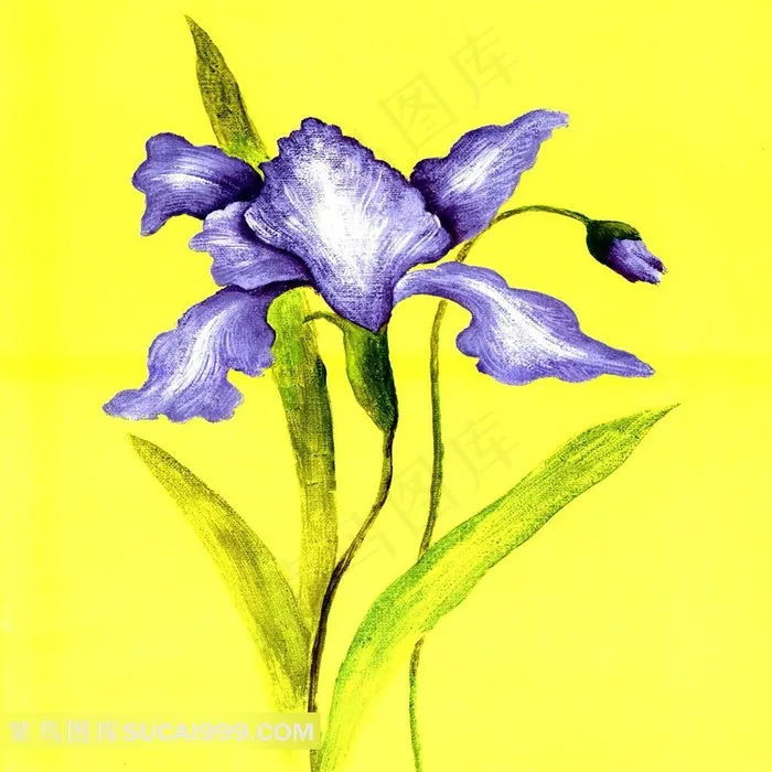 油画花装饰画紫色小花