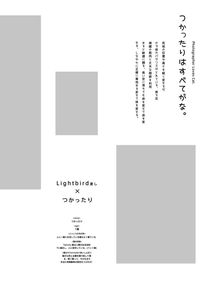 日系画册模板psd模版下载