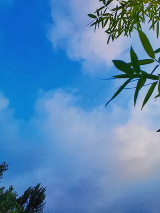 白云蓝天天空竹子风景