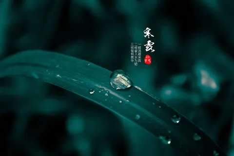 24节气寒露图片 24节气寒露图片