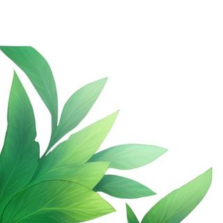 春天绿叶草丛免抠