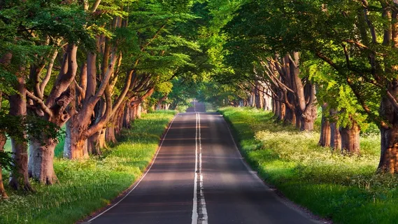 户外森林公路风景图片 户外森林公路风景图片