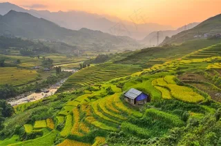 美丽的乡村田园风景