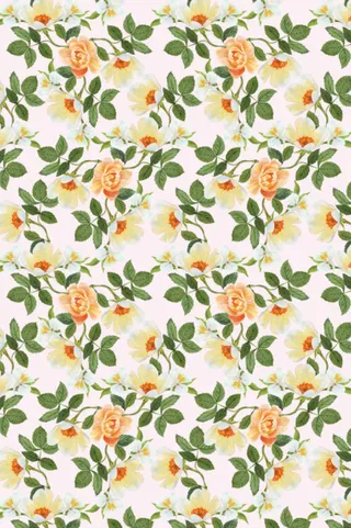 数码印花无缝有单元