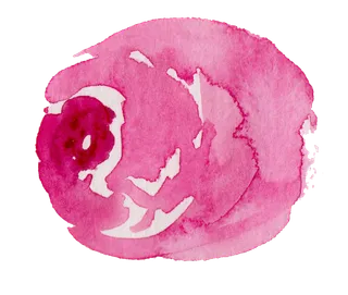 唯美森系手绘水彩花朵 免抠