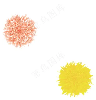 牡丹花菊花 牡丹花菊花