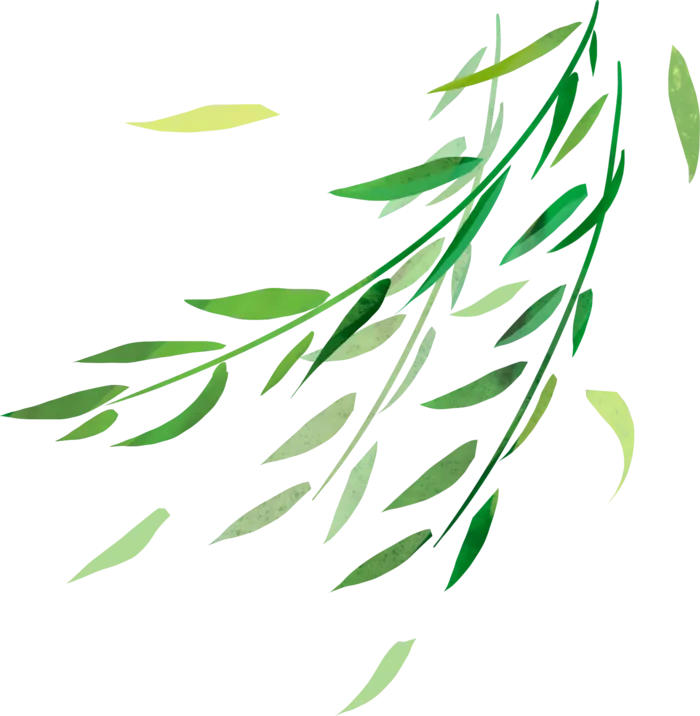 树木树枝树叶免扣素材