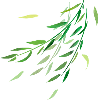 树木树枝树叶免扣素材