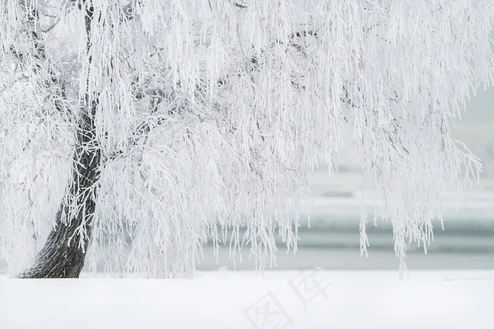 雾凇图片