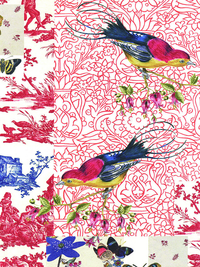 植物鸟高清插画