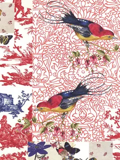 植物鸟高清插画 植物鸟高清插画