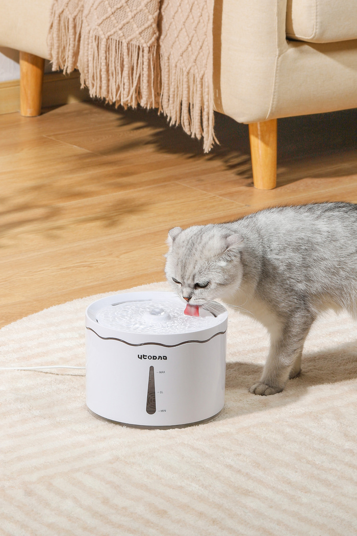 宠物饮水机场景高清拍摄背景 (12)