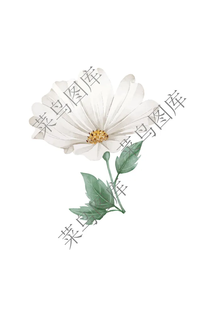 花朵素描图ai矢量模版下载