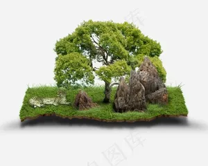 一块土地高清图片