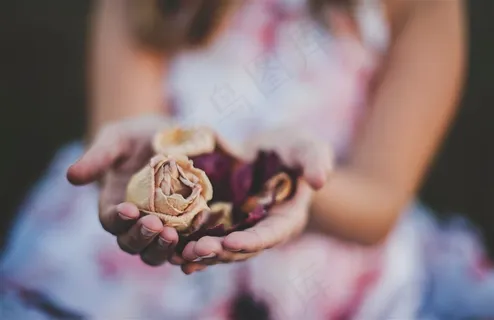 手中的鲜花素材大图 手中的鲜花素材大图
