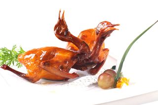 红烧乳鸽   36元一只（放半页，上部）