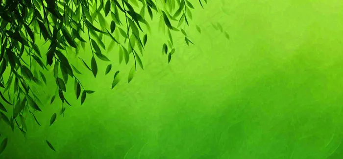 绿色简约绿植绿叶手绘插画笔墨意境(1616x752)