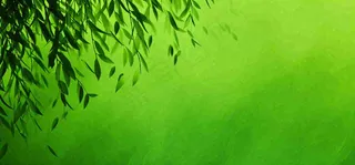 绿色简约绿植绿叶手绘插画笔墨意境