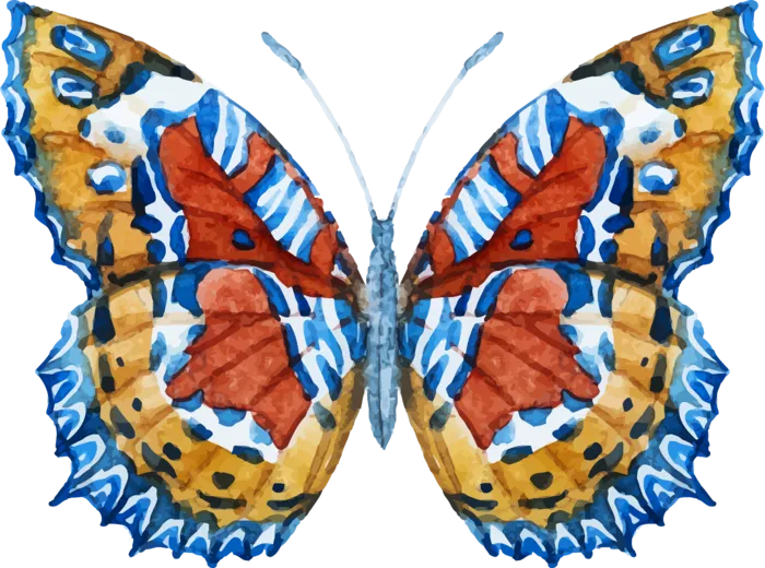 卡通动画动画蝴蝶免扣PNG手绘插画图片素材 (21)