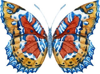 卡通动画动画蝴蝶免扣PNG手绘插画图片素材 (21)