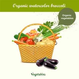 蔬菜设计矢量素材卡通食物新鲜绿色蔬菜