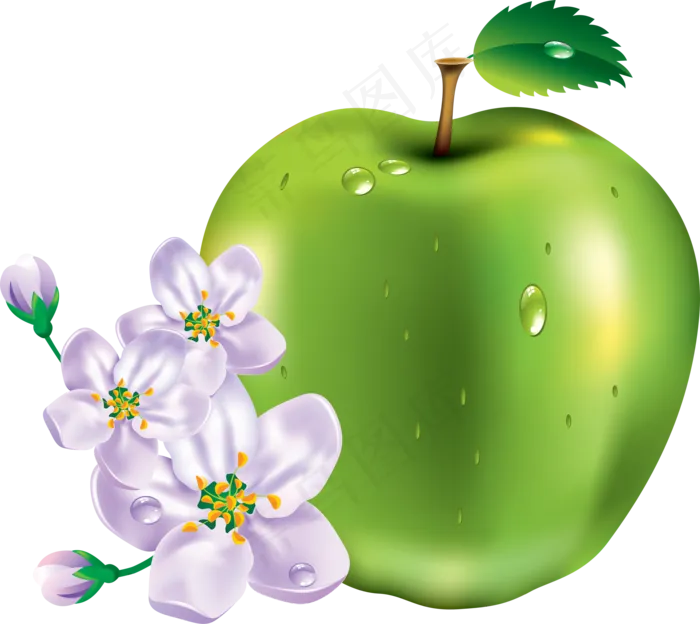 水果坚果鲜水果苹果免抠大苹果