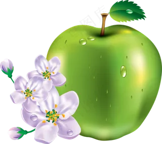 水果坚果鲜水果苹果免抠大苹果