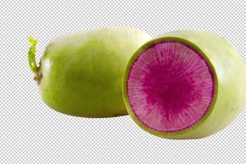 绿皮萝卜免扣素材