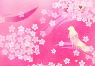 图片设计素材背景鸟语花香